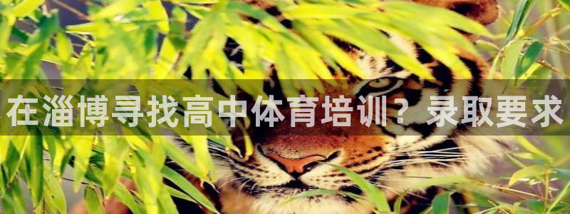 尊龙app登录不了