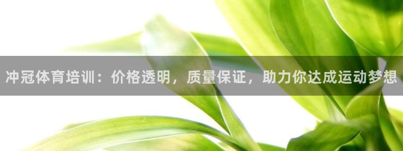 尊龙z6集团