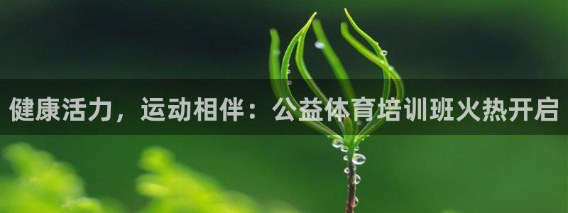 尊龙传奇英文怎么写：健康活力，运动相伴：公益体育培训