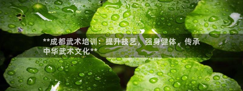 尊龙凯时取款一直支付中：**成都武术培训：提升技艺，