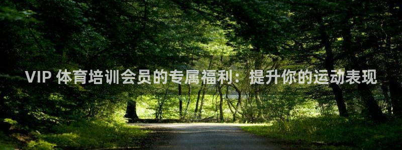 尊龙凯时是大平台吗：VIP 体育培训会员的专属福利：