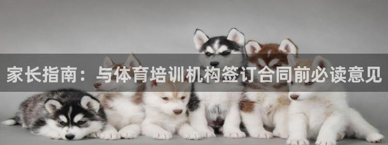 尊龙凯时代理能提出来不：家长指南：与体育培训机构签订