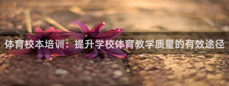 尊龙凯时有没有出不了款的情况：体育校本培训：提升学校