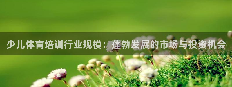 尊龙凯时网娱乐官网：少儿体育培训行业规模：蓬勃发展的