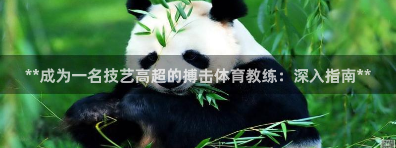 凯时尊龙app国际官方网站：**成为一名技艺高超的搏