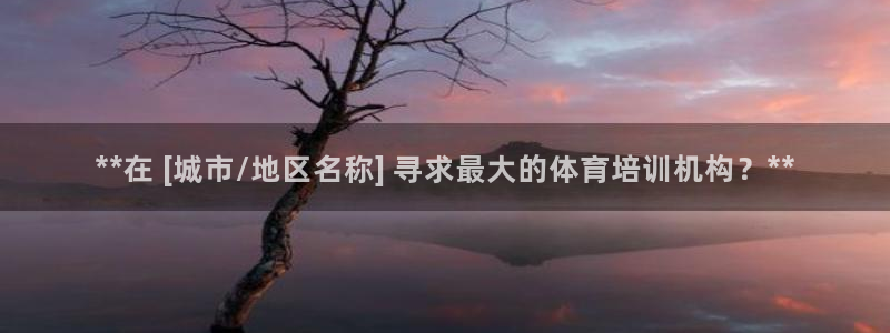 尊龙人生就是博旧版：**在 [城市/地区名称] 寻求