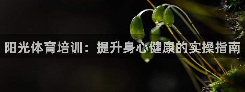 尊龙d88现金关注ag发财网：阳光体育培训：提升身心