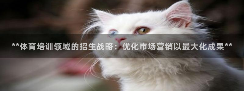 尊龙平台登录：**体育培训领域的招生战略：优化市场营