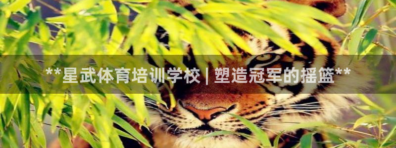 ag尊龙凯时官网：**星武体育培训学校 | 塑造冠军