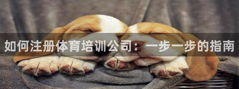 尊龙现金一下S选来就送38：如何注册体育培训公司：一
