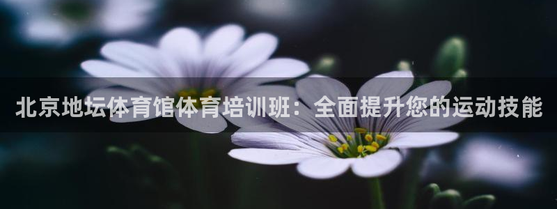 尊龙凯时人生就是搏官方网站：北京地坛体育馆体育培训班