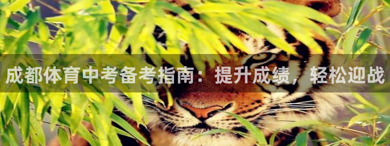 尊龙人生就是博ag旗舰厅：成都体育中考备考指南：提升