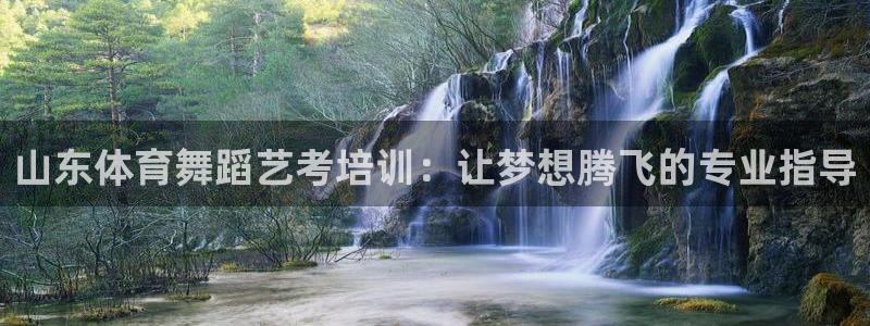 尊龙实业 吴友良：山东体育舞蹈艺考培训：让梦想腾飞的