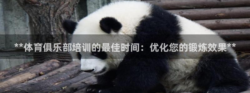 尊龙凯时下载官方正版：**体育俱乐部培训的最佳时间：