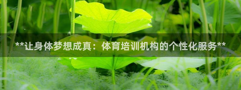 ag尊龙凯时集团：**让身体梦想成真：体育培训机构的