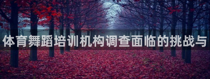 尊龙凯时取款有要求吗：体育舞蹈培训机构调查面临的挑战