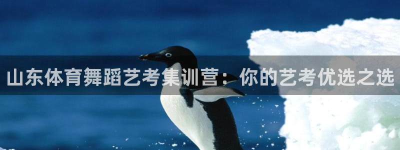 尊龙d88现金旧版本：山东体育舞蹈艺考集训营：你的艺