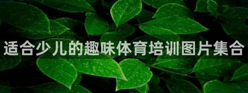 尊龙凯时赢不了：适合少儿的趣味体育培训图片集合