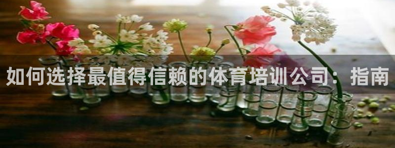 尊龙旗舰店：如何选择最值得信赖的体育培训公司：指南