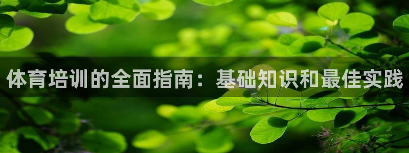 尊龙实业有限公司属于国企吗：体育培训的全面指南：基础
