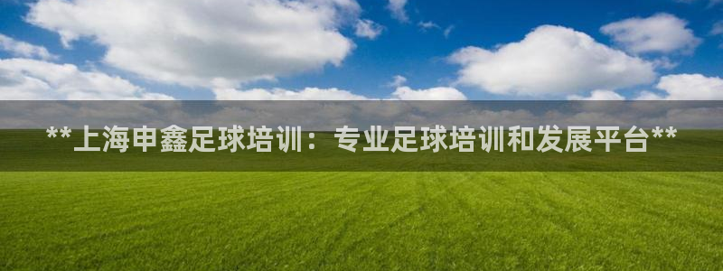 尊龙人生就是博登录首页：**上海申鑫足球培训：专业足