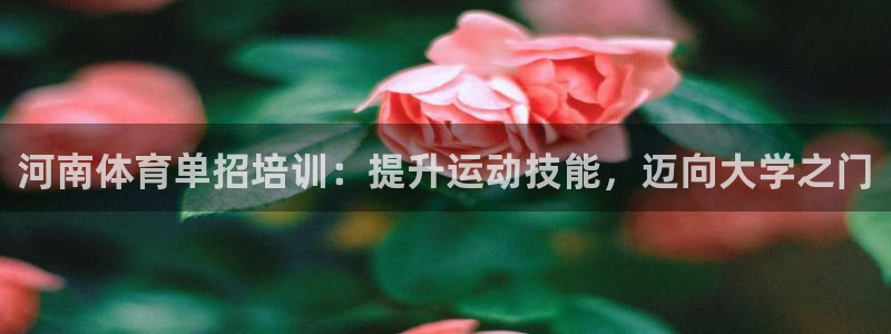 尊龙集团有限公司招聘：河南体育单招培训：提升运动技能