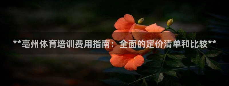 尊龙人生就是搏：**亳州体育培训费用指南：全面的定价
