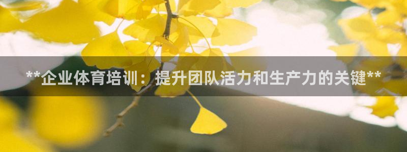 尊龙最新版：**企业体育培训：提升团队活力和生产力的