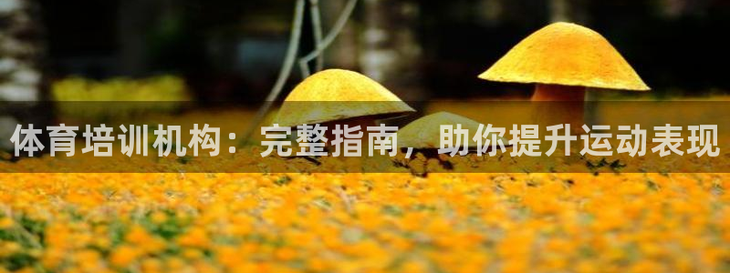 尊龙凯时手机版·(中国)官方网站：体育培训机构：完整