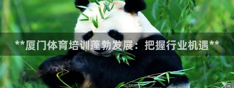 尊龙这个平台怎么样：**厦门体育培训蓬勃发展：把握行