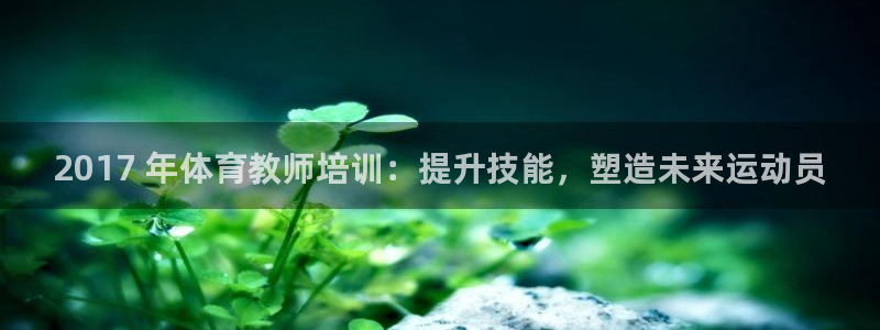 Z6尊龙官网入口：2017 年体育教师培训：提升技能