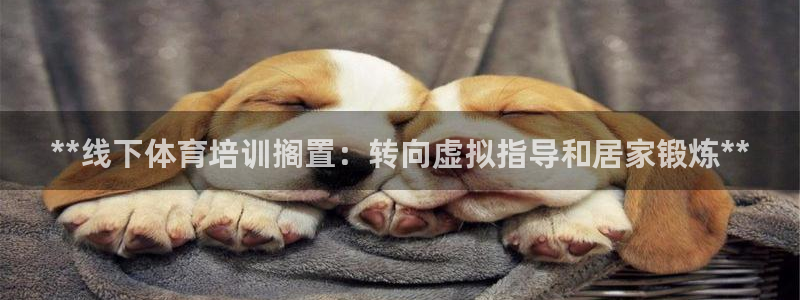 尊龙人生就是博登录首页：**线下体育培训搁置：转向虚