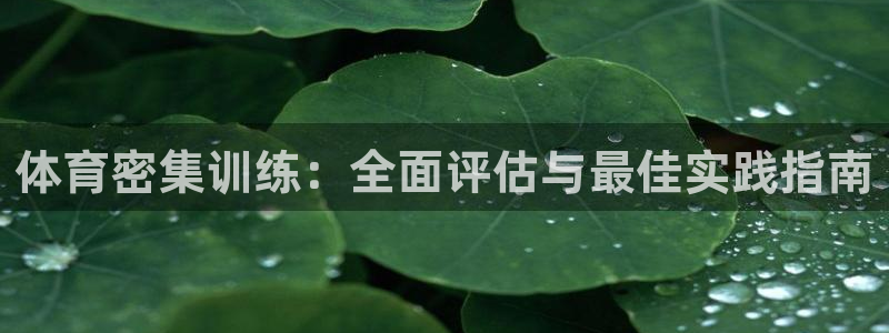 尊龙人生就是博d88 - Z6尊龙官方网站：体育密集