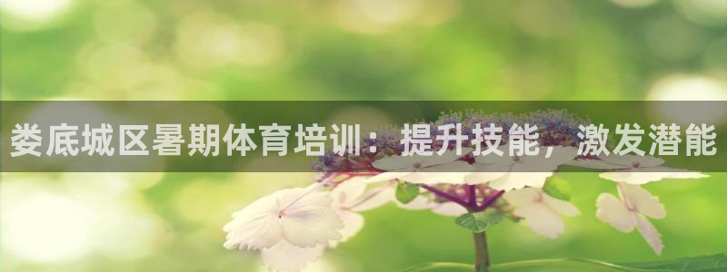 尊龙是什么软件：娄底城区暑期体育培训：提升技能，激发