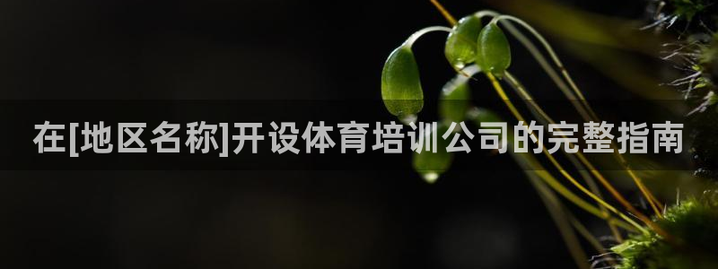 尊龙网站 人生就是博：在[地区名称]开设体育培训公司