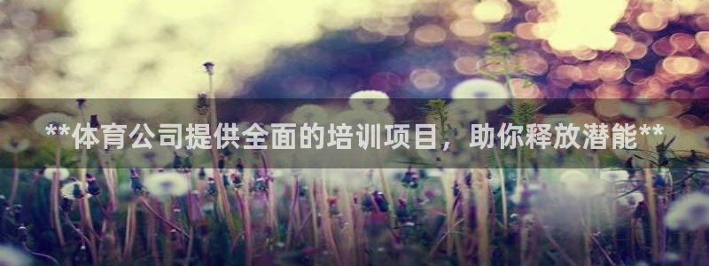 尊龙凯时旗舰厅官网：**体育公司提供全面的培训项目，
