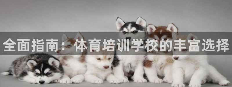 凯时官网下载客户端：全面指南：体育培训学校的丰富选择