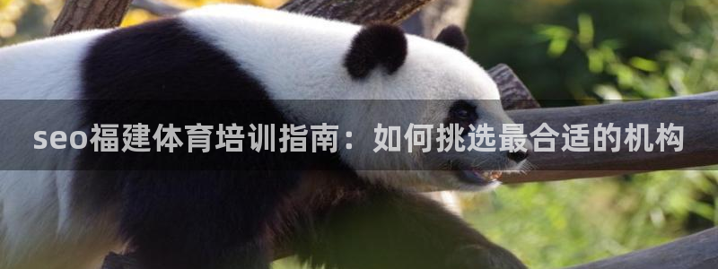 尊龙凯时人生就是博中国官网：seo福建体育培训指南：