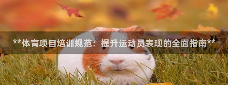 尊龙凯时有假么：**体育项目培训规范：提升运动员表现