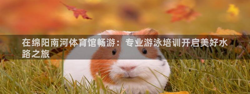 尊龙z6官网：在绵阳南河体育馆畅游：专业游泳培训开启