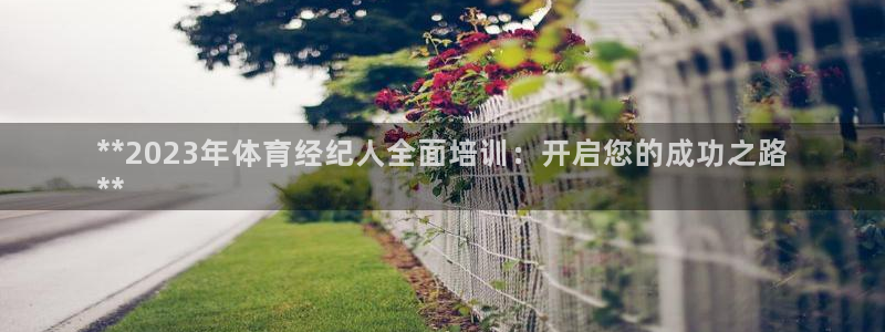 凯时kb88kb88：**2023年体育经纪人全面培