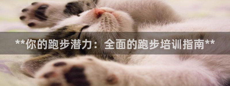 尊龙,人生就是博!登录国际：**你的跑步潜力：全面的