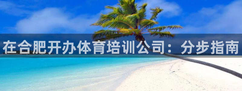 尊龙凯时存款多久到账：在合肥开办体育培训公司：分步指