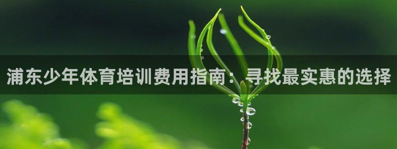 尊龙人生就是博网站下载：浦东少年体育培训费用指南：寻找最实惠