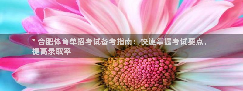 尊龙凯时能做退米么：* 合肥体育单招考试备考指南：快