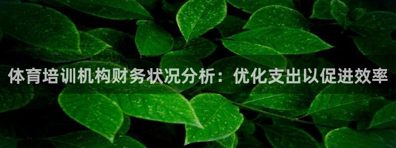 尊龙400：体育培训机构财务状况分析：优化支出以促进