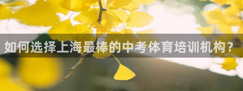 下载凯时AG旗舰厅首页：如何选择上海最棒的中考体育培