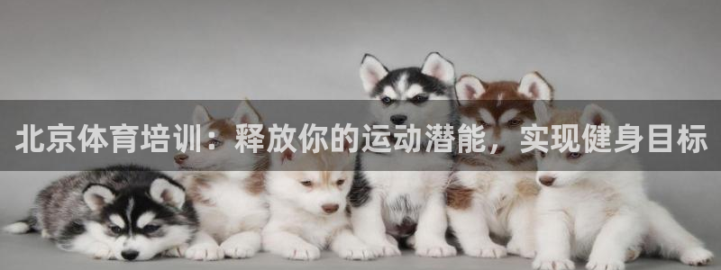 尊龙凯时福米推荐人：北京体育培训：释放你的运动潜能，