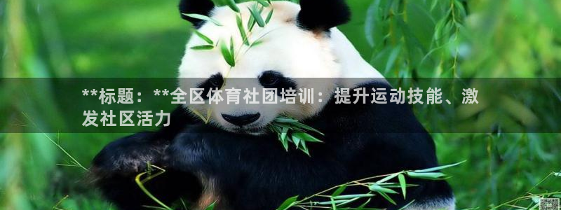 尊龙传奇英文怎么写：**标题：**全区体育社团培训：提升运动
