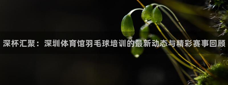 尊龙d88ag旗舰厅